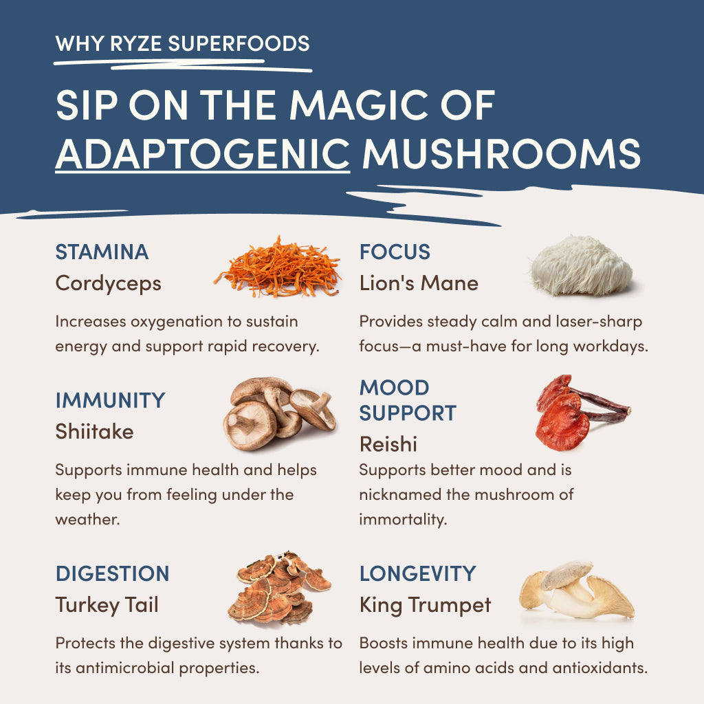 RYZE Nighttime Mushroom Cocoa Starter Bag D9