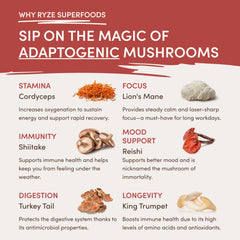 RYZE Mushroom Chai Starter Bag H9