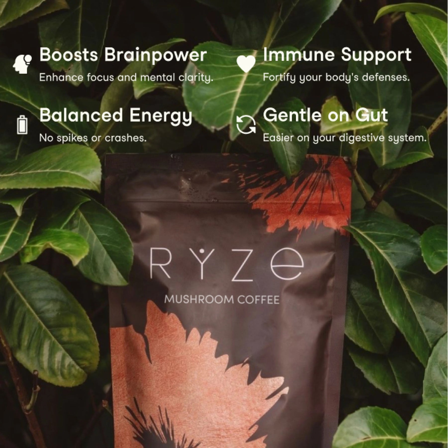 RYZE Mushroom Coffee — Organic Instant Coffee with Cordyceps & Reishi, 30 Servings C3