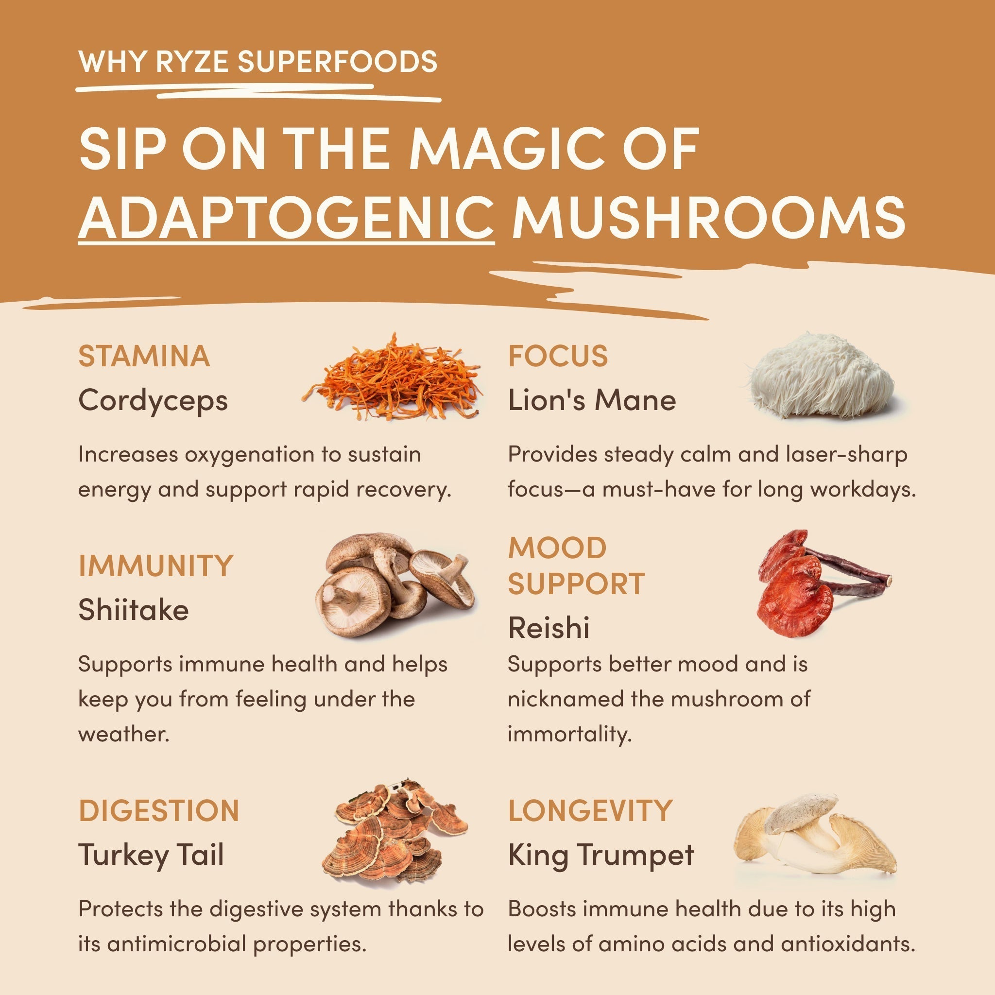 Mushroom Overnight Oats (14 Servings) O1