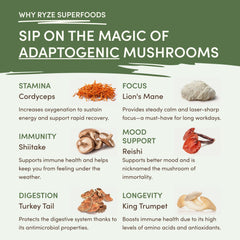 RYZE Mushroom Matcha — Organic Instant Matcha Latte with Lion's Mane & King Trumpet, 30 Servings C6