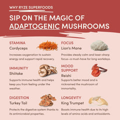 RYZE Mushroom Chai — Organic Instant Chai with Reishi & Organic Black Tea, 20 Servings P4