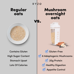 Mushroom Overnight Oats Pack (14 Servings) E4