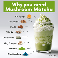 RYZE Organic Mushroom Matcha Starter Kit (60 servings) R3