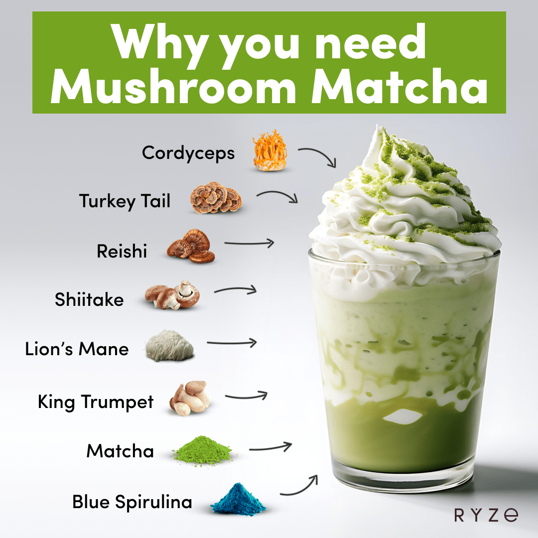 RYZE Organic Mushroom Matcha Starter Kit (60 servings) R3