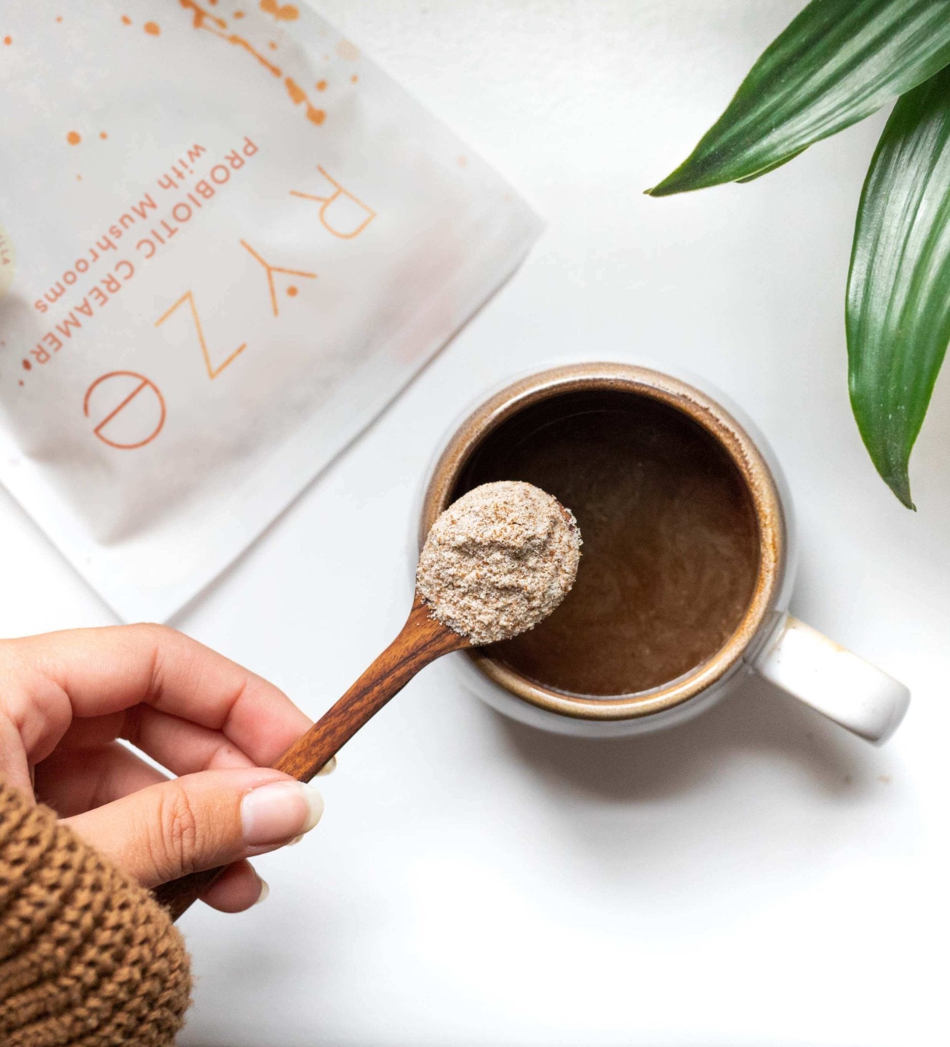Try our Probiotic Creamer for 50% OFF! P0