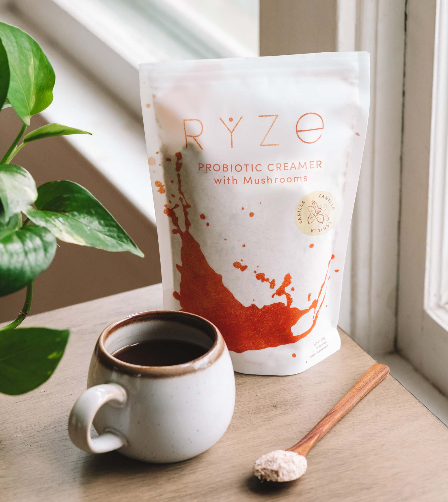 Try our Probiotic Creamer for 50% OFF! P0
